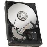 30GB IDE hard drive (Multibay)