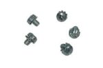 Screw, Modem to Logic Board, Pkg. of 5