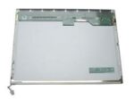 Apple LCD Display Panel 12.1 for iBook G3 and iBook G4