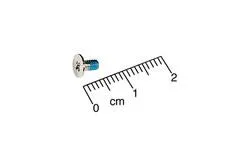 Screw, 2.5 x 0.45 x 4.5