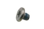 Screw, T10, Wafer, 3 x 3 mm, Pkg. of 5 iMac 24